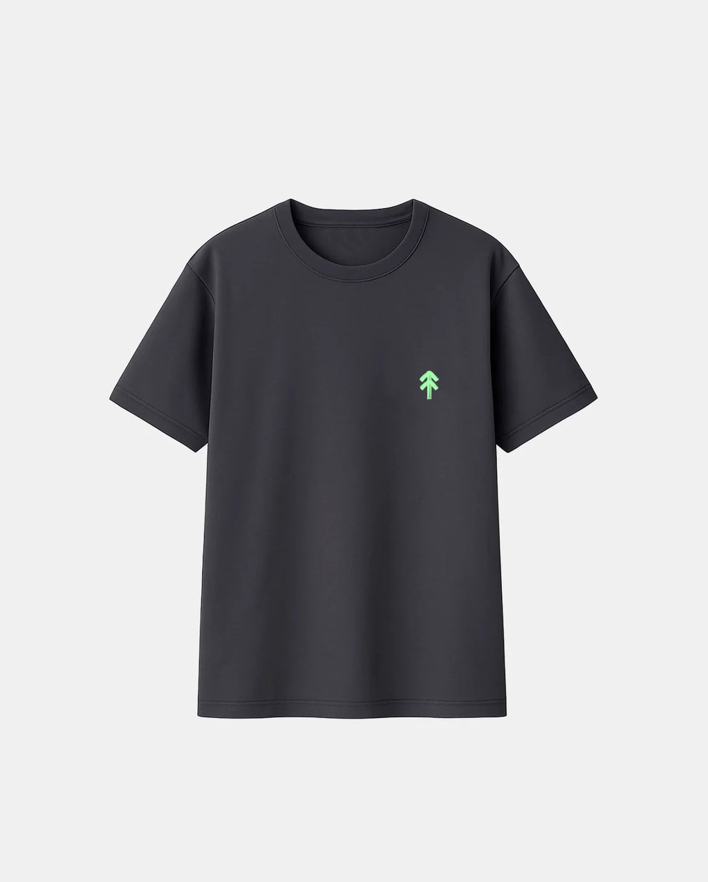 CAMISETA ICONIC BIG BROTHER GREY