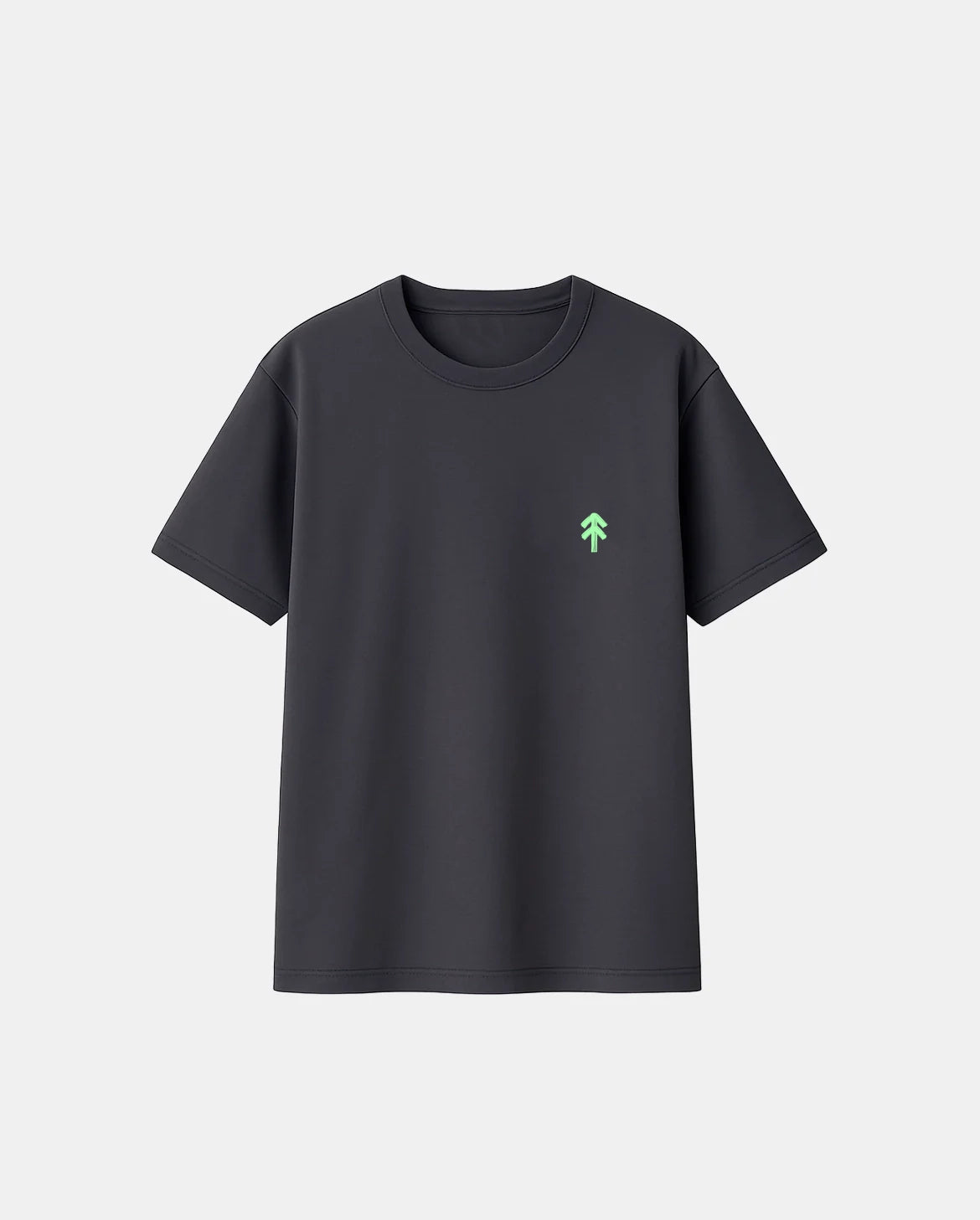 CAMISETA ICONIC BIG BROTHER GREY