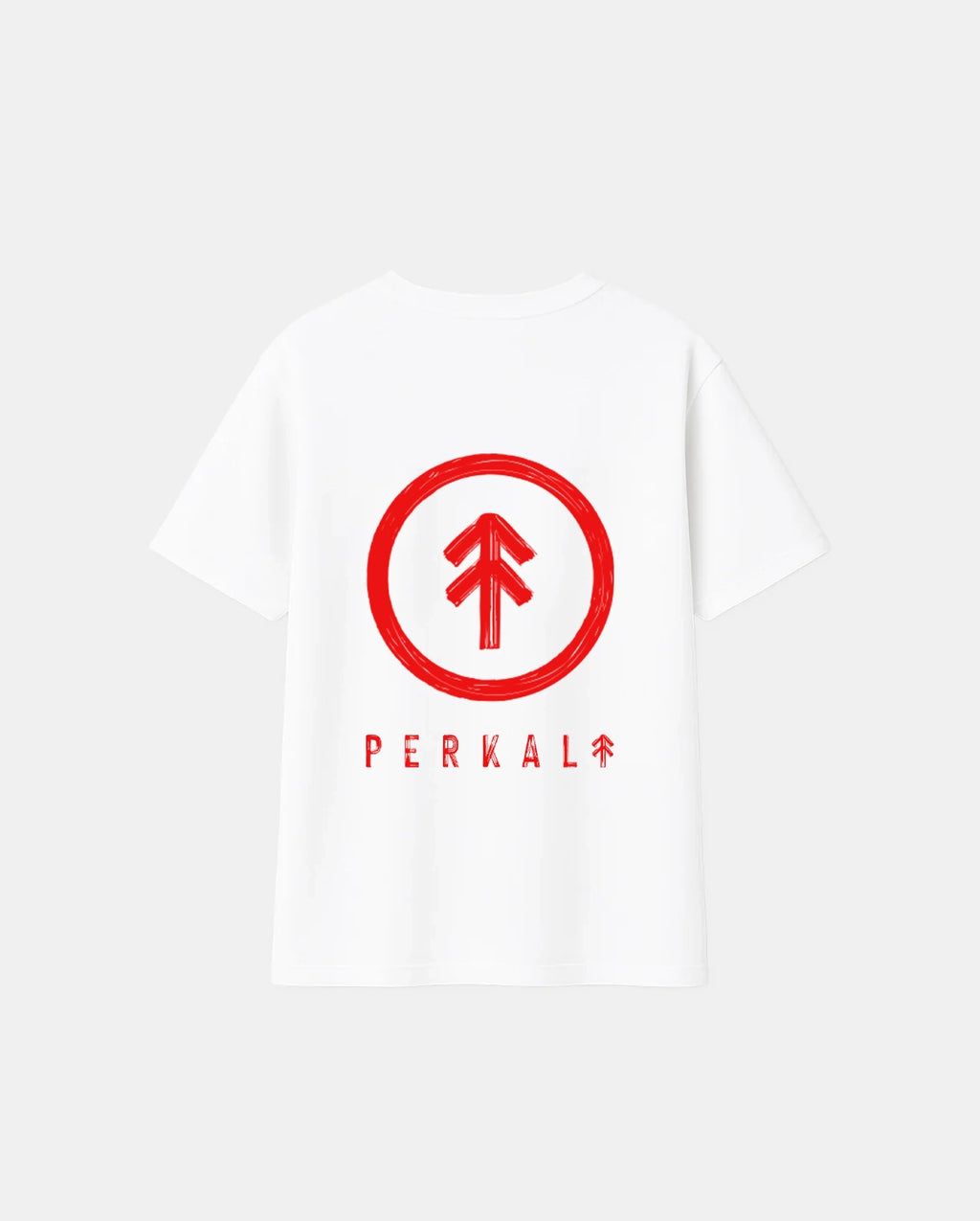 CAMISETA ICONIC BIG BROTHER WHITE