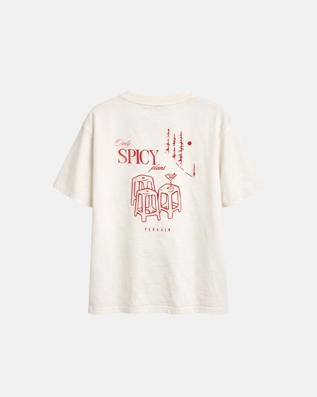 CAMISETA OVERSIZE SPICY