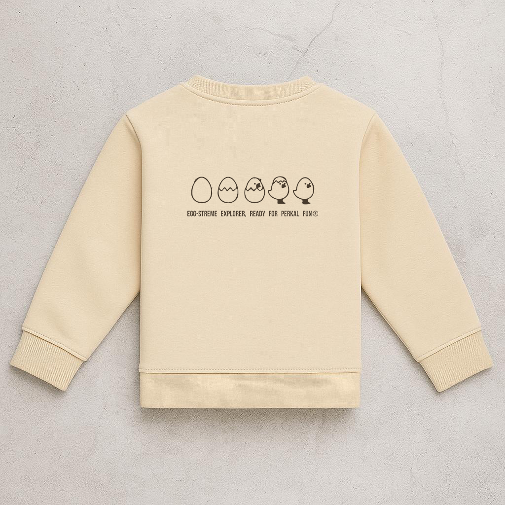 ANTHRACITE SWEATSHIRT